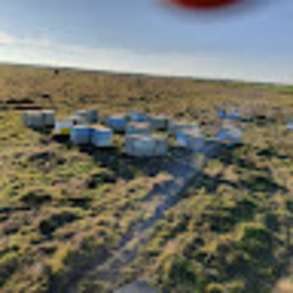 Meet your Posher, Tucker